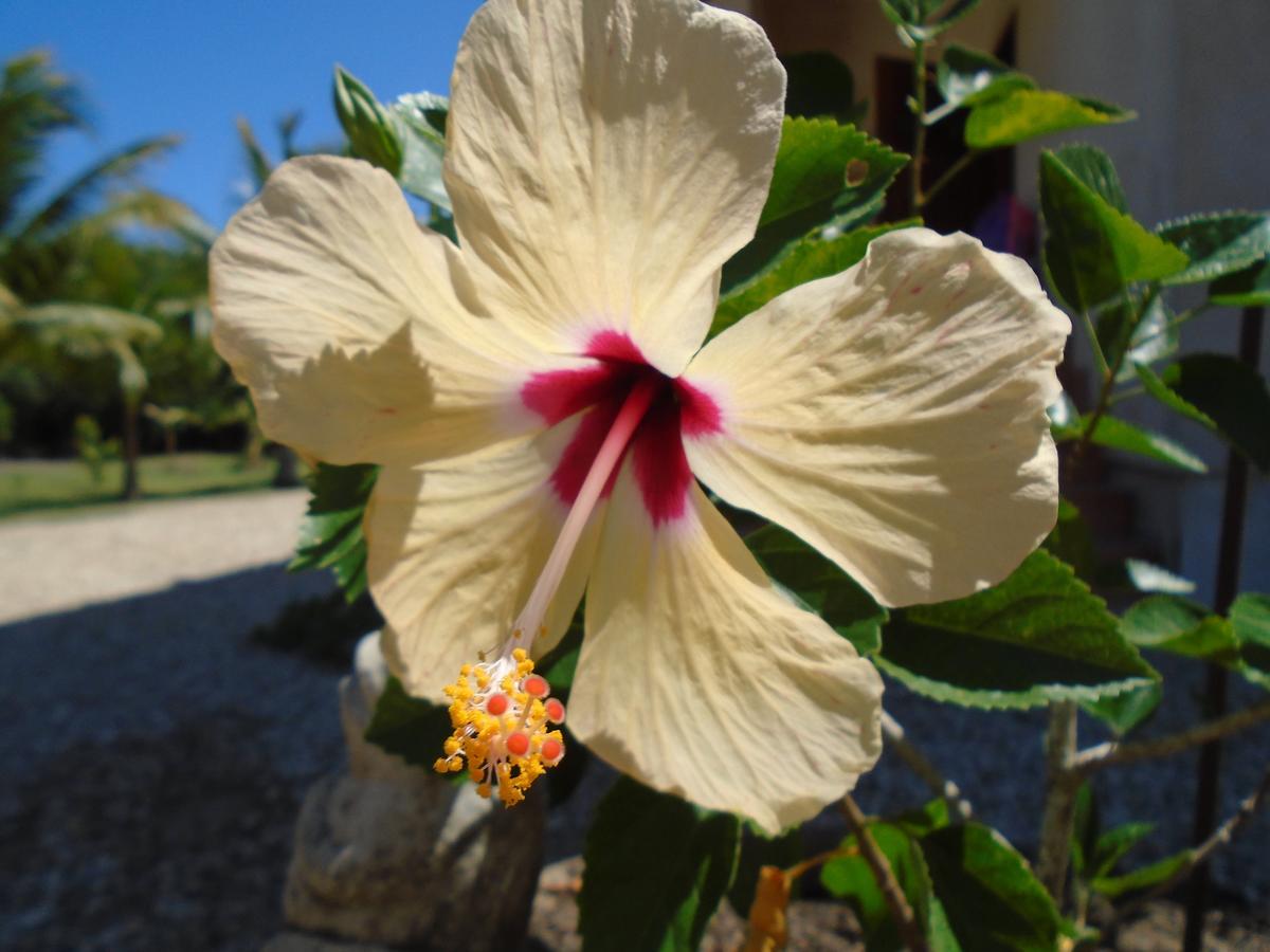 Serenity Sands Corozal Exteriér fotografie